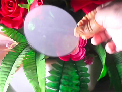 Filter Mesh with Roll to Roll Etching 