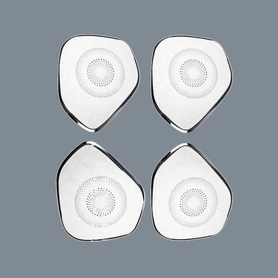 Good price Chemical Etched Automotive Speaker Grilles – Custom Metal Etching for Car Audio online