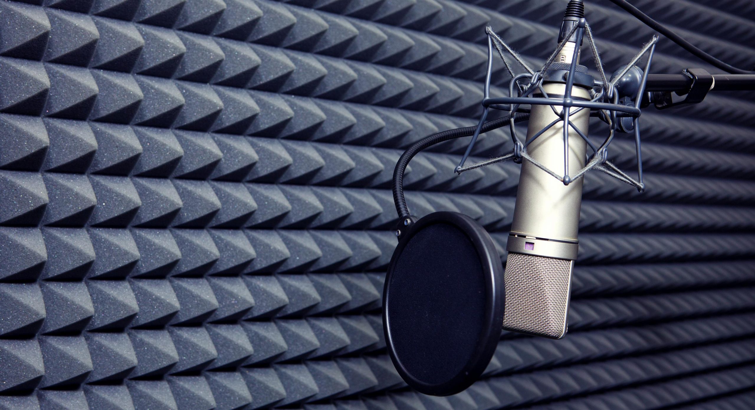 Pop Filter